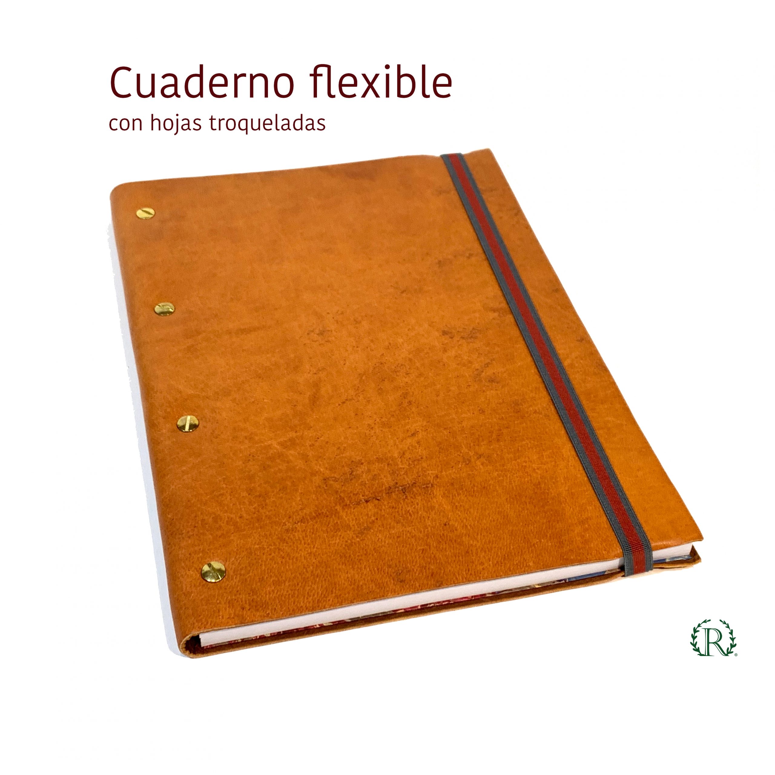 Tornillos 21x29,5 (CT-02)