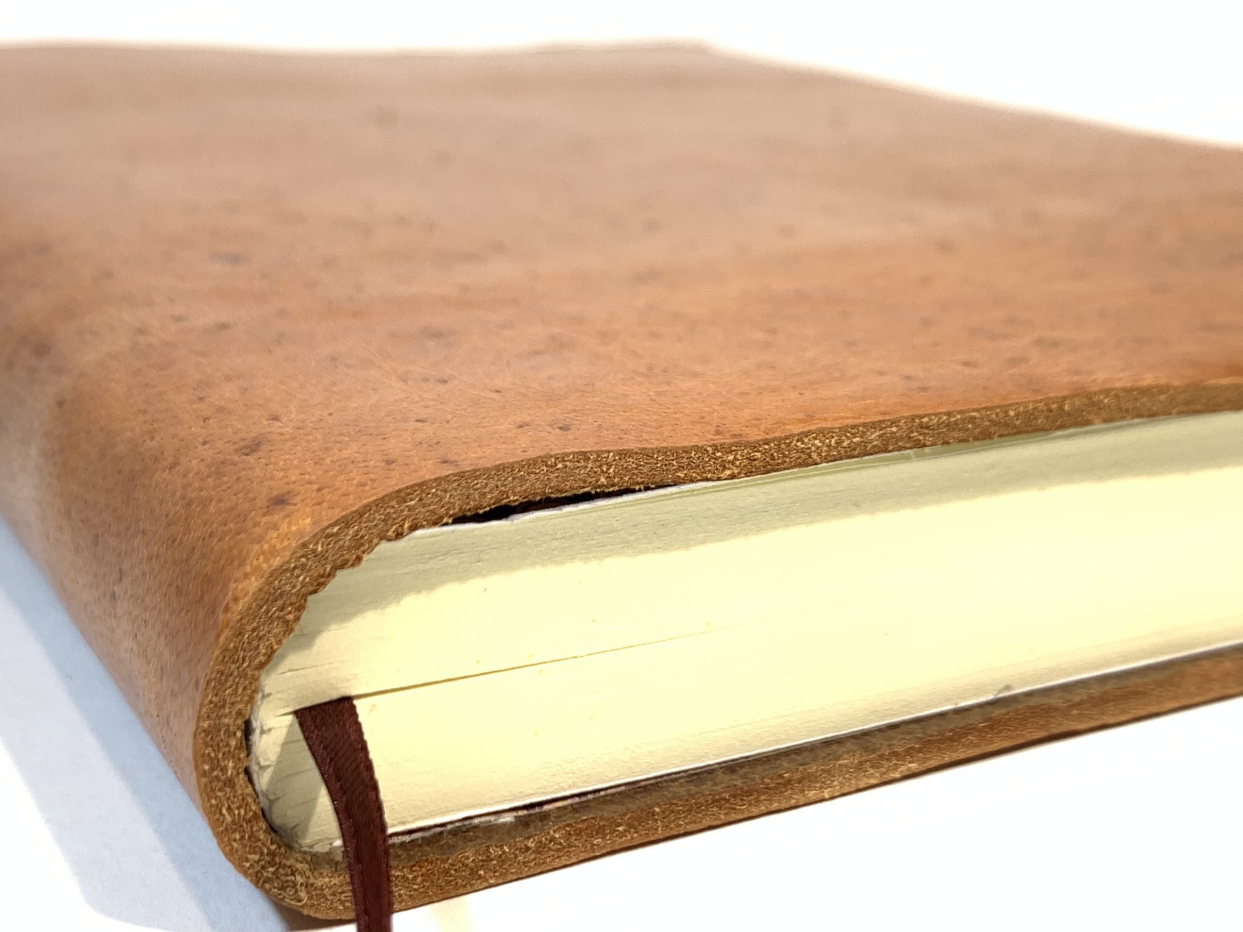 Flexible 14x21 (CPF-01) - Imagen 3