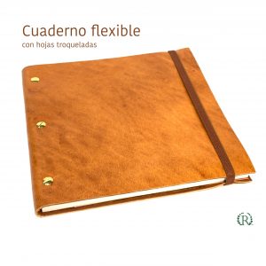 Tornillos 21x21 (CT-04)