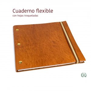 Tornillos 21x21 (CT-01)