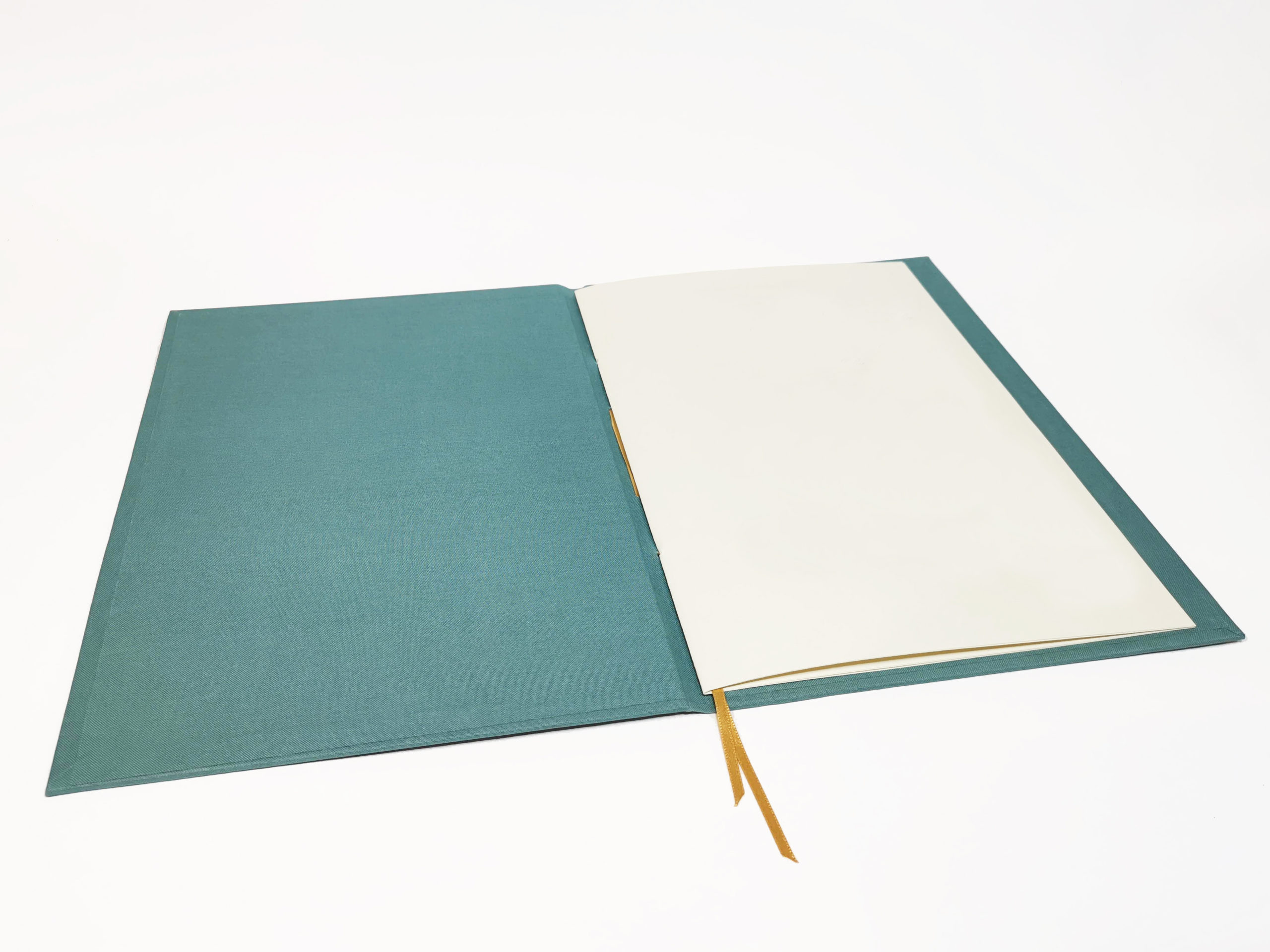 www.elrejononline.com carpeta verde turquesa en blanco 6