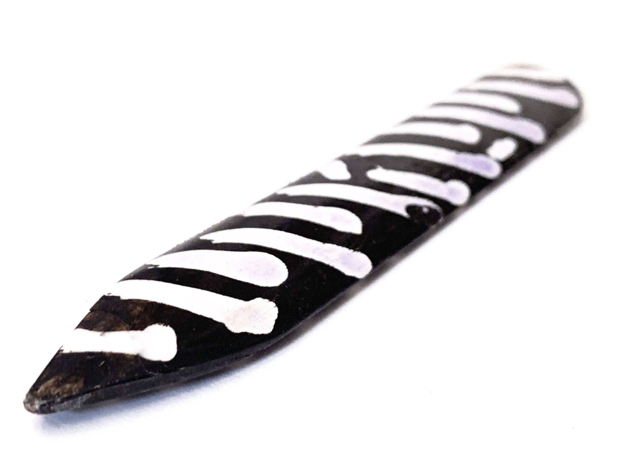 hueso "zebra skin" - Imagen 3